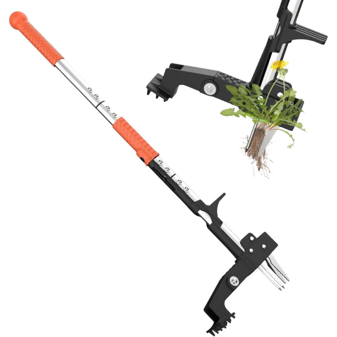 Dual-spring lawn aerator in use on grass